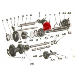 WO636879 | ZĘBATKA 1 BIEG -...