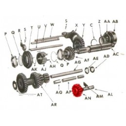 WO636882 | ZĘBATKA WSTECZNY...