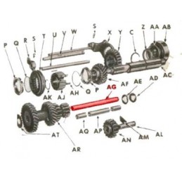 WO638948 | WAŁEK CHOINKI -...
