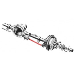 WOA1709 | DRĄŻEK...