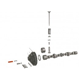 WO375907  WAŁEK - PLUNGER...