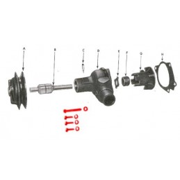 WO639992KIT | ZESTAW ŚRUB...