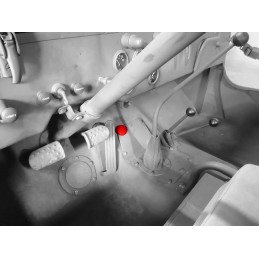 WOA1225 | "GRZYBEK" - FOOT...